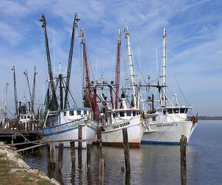 161167154_shrimp-boats-gulf-of-mexico-fishing-large-photo-picture